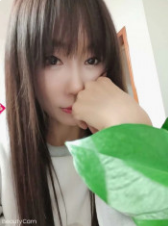 雪莲桥叶子验证